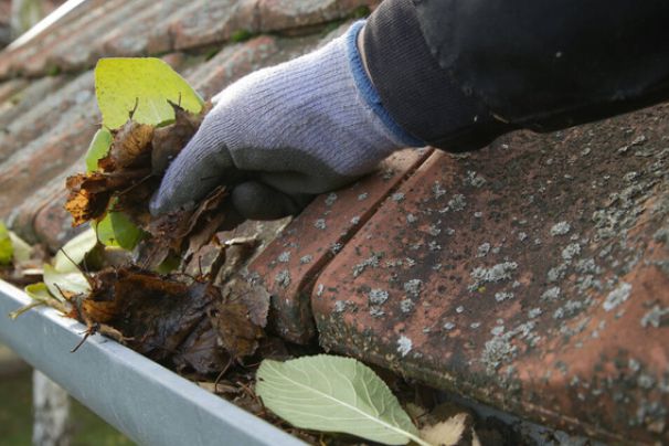 Gutter Cleaning Atherton Tablelands - Sunshine Tablelands Property Maintenance